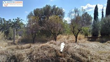 Terreno en venta en Albalat dels Tarongers, Albalat dels tarongers photo 0