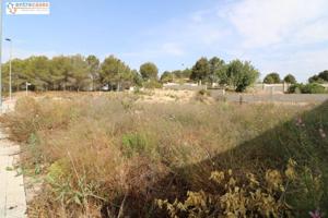 Terreno en venta en Albalat dels Tarongers, Urb. tarongers photo 0