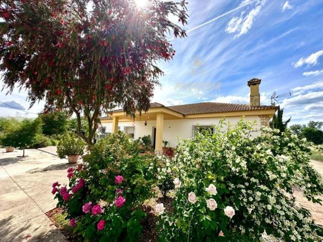 Casa con terreno en venta en Córdoba, Assuan photo 0