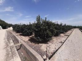 Terreno en venta en Alzira, Alzira photo 0