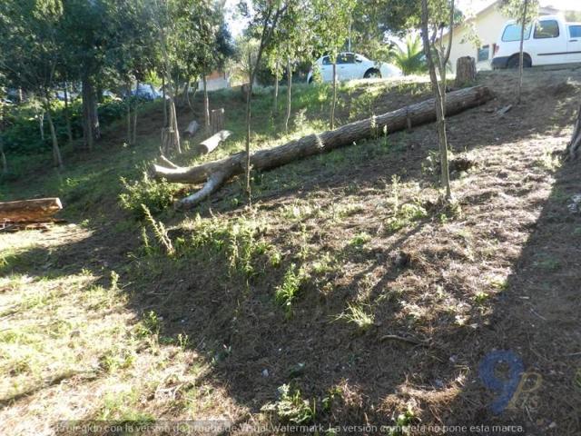 Terreno en venta en Argentona, Argentona, CAN RAIMI photo 0