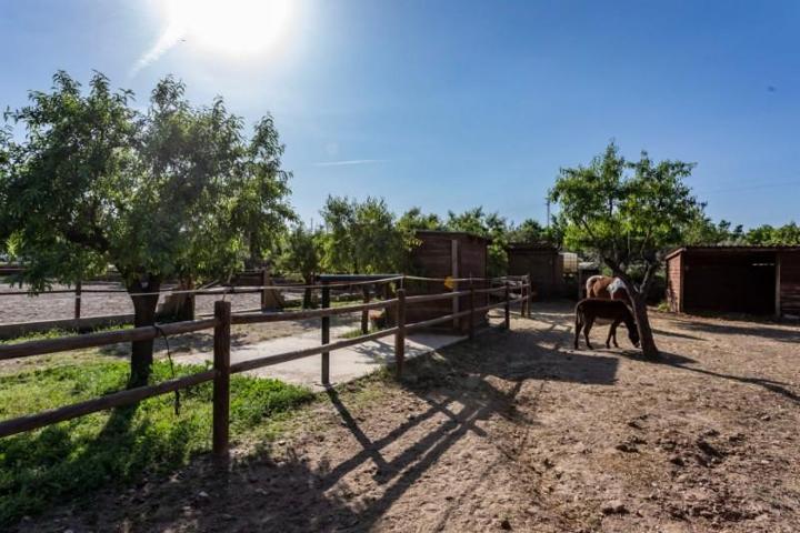 Casa con terreno en venta en Fiñana, FIÑANA photo 0