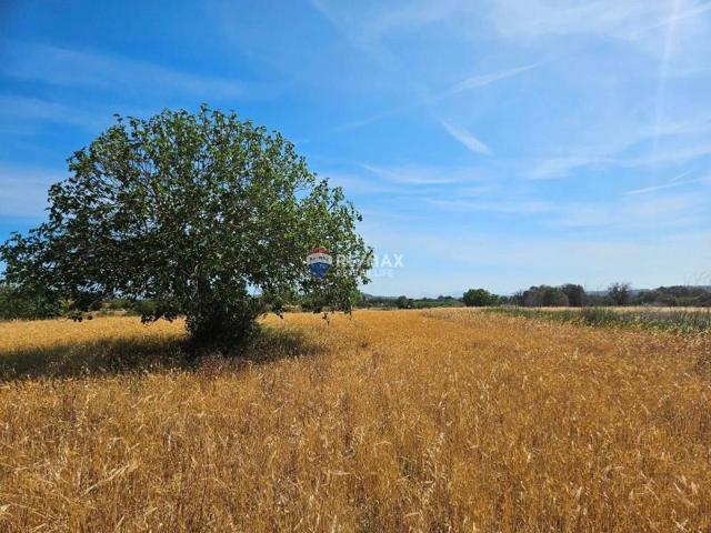 Terreno en venta en Sineu photo 0