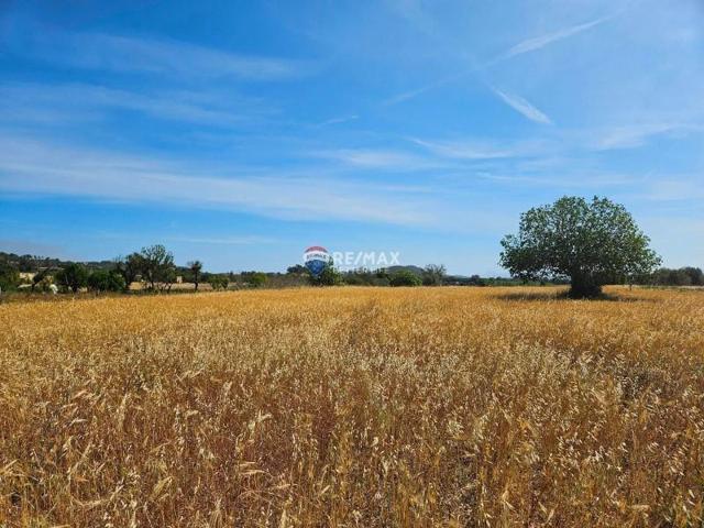 Terreno en venta en Sineu photo 0