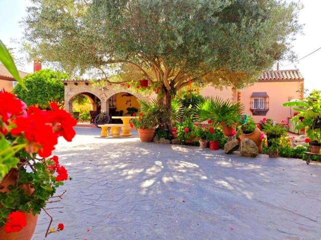 Chalet en venta en Chiclana de la Frontera, Pago del humo photo 0