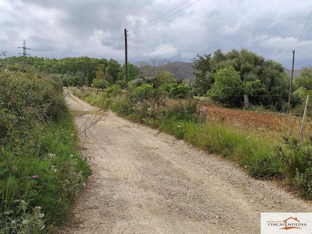 Terreno en venta en Capdepera, Canyamel photo 0