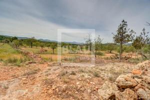 Terreno en venta en Sant Antoni de Portmany photo 0