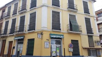 Chalet en venta en Alhama de Granada, Área de Alhama de Granada photo 0