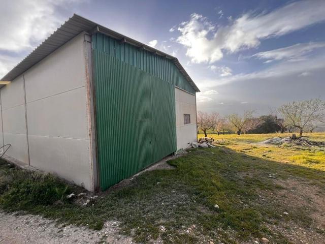 Terreno en venta en Arenas del Rey, CENTRO photo 0