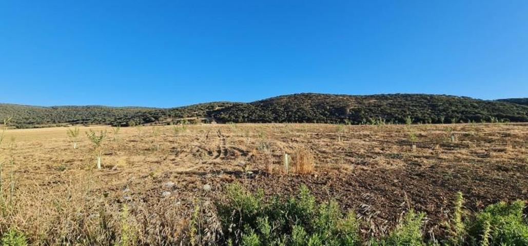 Terreno en venta en Alhama de Granada, Área de Alhama de Granada photo 0
