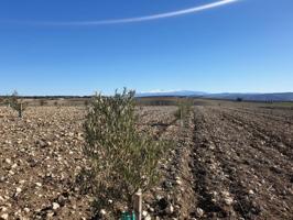 Terreno en venta en Alhama de Granada, Área de Alhama de Granada photo 0