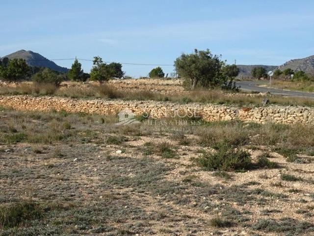 Terreno en venta en Hondon de las Nieves, LA CANALOSA photo 0