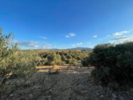 Terreno en venta en Alhama de Granada, Área de Alhama de Granada photo 0