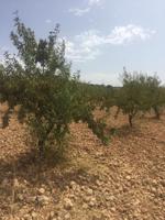 Terreno en venta en Alhama de Granada, Área de Alhama de Granada photo 0