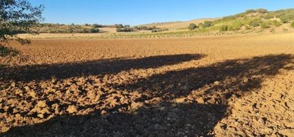 Terreno en venta en Alhama de Granada, Área de Alhama de Granada photo 0