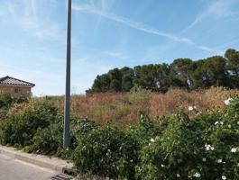 Terreno en venta en Jerez de la Frontera, Montealto photo 0