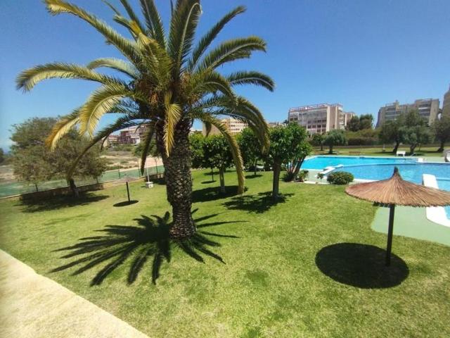 Bungalow en venta en Torrevieja, Torreblanca photo 0