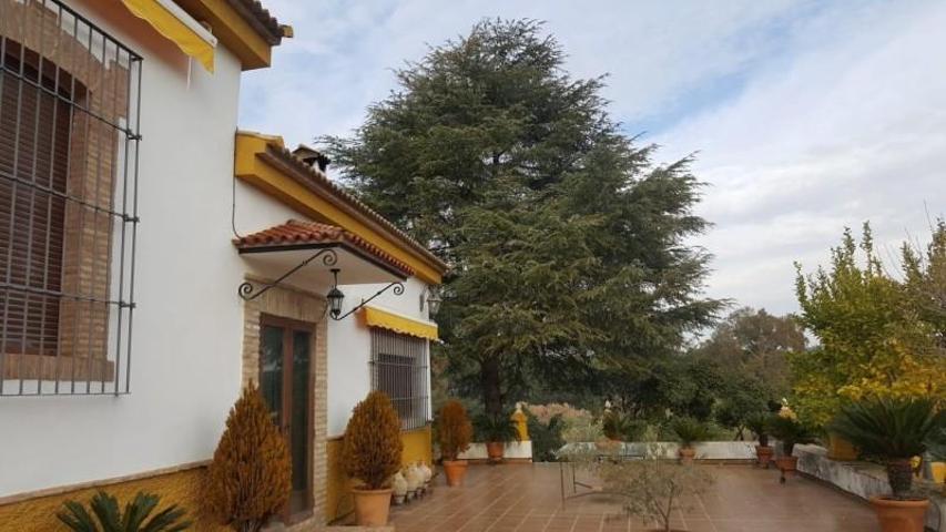 Chalet en venta en Andújar, Carretera santuario photo 0