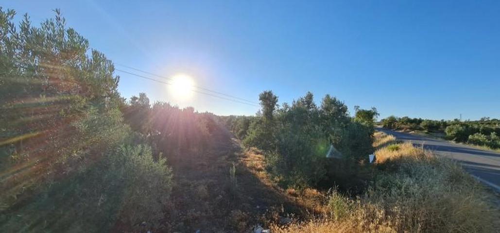Terreno en venta en Alhama de Granada, Área de Alhama de Granada photo 0