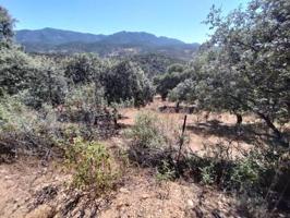 Terreno en venta en Fuencaliente, Fuencaliente photo 0