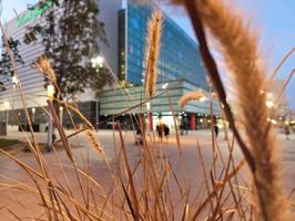 Apartamento en venta en Barcelona photo 0