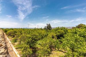 Terreno en venta en Almazora-Almassora, Benadresa photo 0