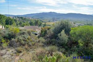 Terreno en venta en Alcalali, Vall de Pop photo 0