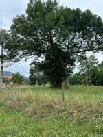 Terreno en venta en Penagos, Arenal photo 0