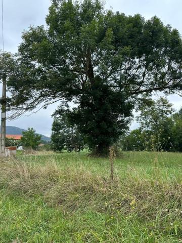 Terreno en venta en Penagos, Arenal photo 0