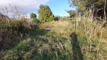 Terreno en venta en Alcúdia photo 0