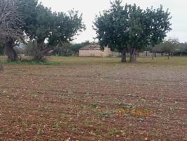 Terreno en venta en Marratxí, Son Ametller photo 0