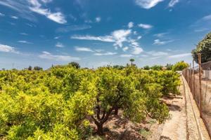 Terreno en venta en Villarreal, Partida madrigal photo 0