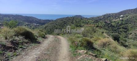 Terreno en venta en Málaga, Huerta Nueva - Jardín de Málaga photo 0