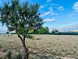 Terreno en venta en Villena, Las Tiesas photo 0
