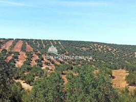 Terreno en venta en Martos, Camino de Santiago de Calatrava, 1, 23615 photo 0