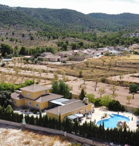 Chalet en venta en Pinoso photo 0