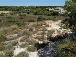 Terreno en venta en Pinar de Campoverde photo 0