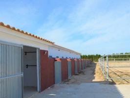 Terreno en venta en San Miguel de Salinas photo 0
