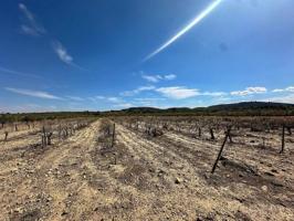 Terreno en venta en Yecla photo 0