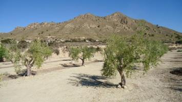 Terreno en venta en Abanilla photo 0