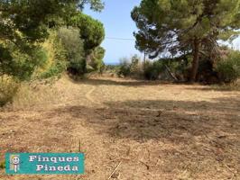 Terreno en venta en Pineda de Mar, Pol. industrial mas roger photo 0