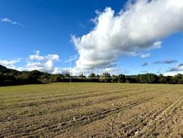 Terreno en venta en Son Servera, FETGET photo 0