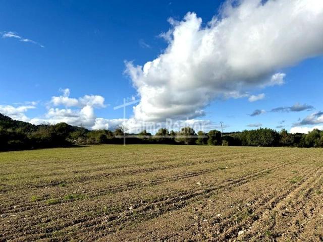 Terreno en venta en Son Servera, FETGET photo 0