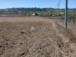 Terreno en venta en Orihuela, Barbarroja photo 0