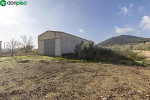Nave industrial en venta en Albolote, Vega de granada zona noroeste photo 0