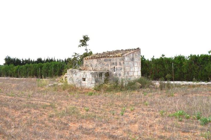 Chalet en venta en Muro, Muro photo 0