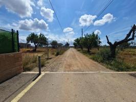 Terreno en venta en Marratxí, Son Ametller photo 0