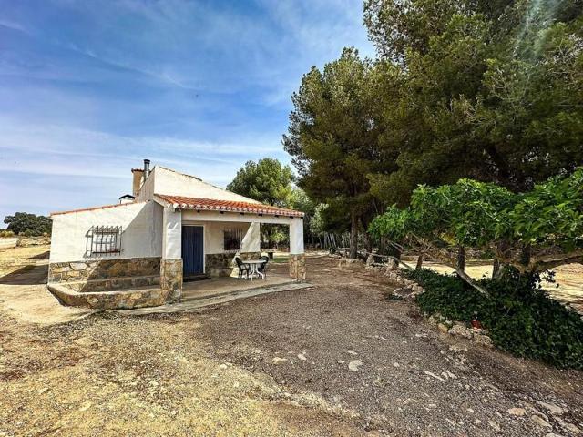 Casa con terreno en venta en Almansa photo 0