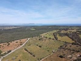 Terreno en venta en Petra, Afueras del pueblo photo 0