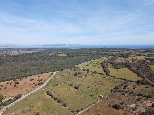Terreno en venta en Petra, Afueras del pueblo photo 0